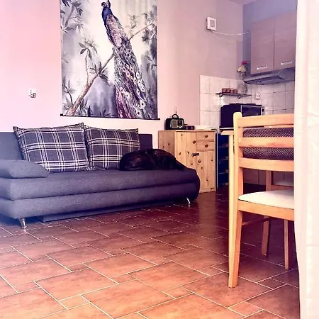 Holiday home Cozy Tinyhouse Studio Vodice,100m From Beach Vodice