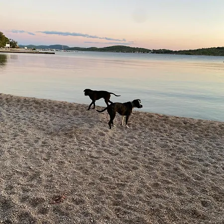 Cozy Tinyhouse Studio Vodice,100m From Beach Hébergement de vacances *